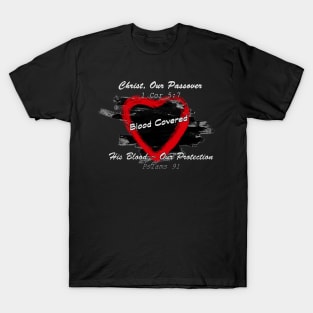 Our Passover & Protection T-Shirt